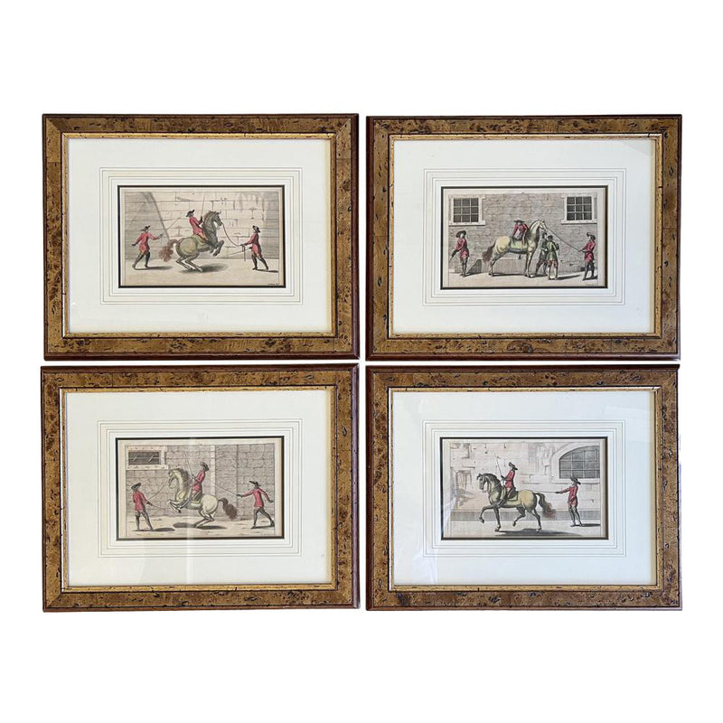 German Equestrian Engravings