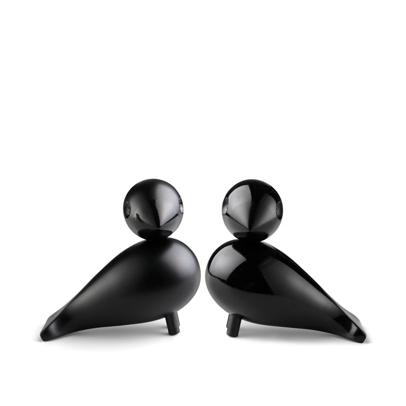 Lovebirds Black
