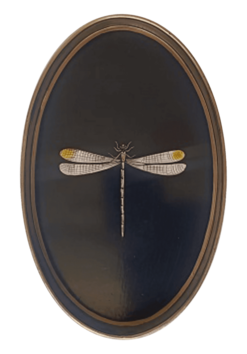 Flora Handpainted Iron Tray, Dragon-fly