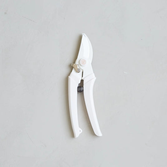 Image Garden Pruner